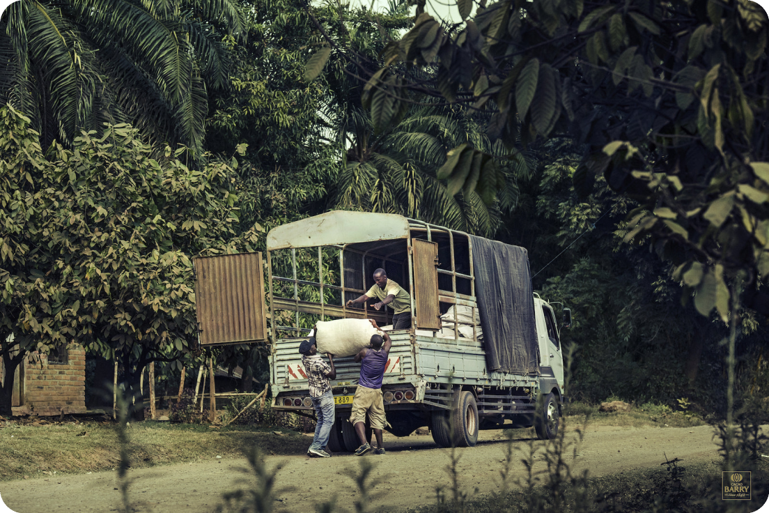 Het transport van de cacao met de vrachtwagen
